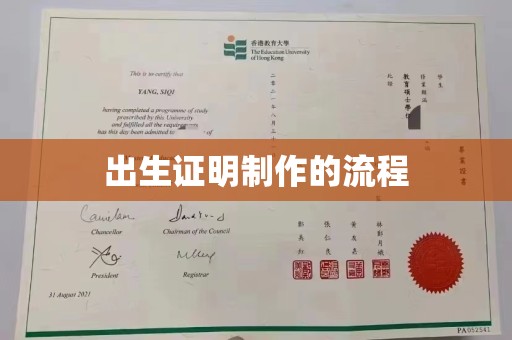 三穗出生证明制作的流程