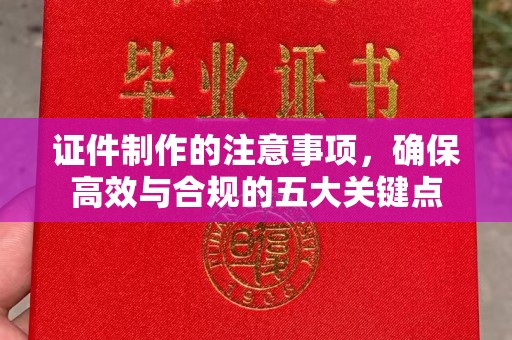 三穗证件制作的注意事项，确保高效与合规的五大关键点