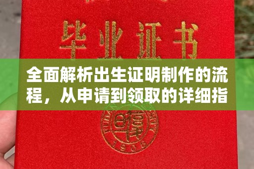 三穗全面解析出生证明制作的流程，从申请到领取的详细指南