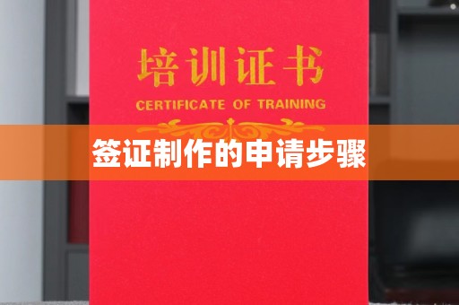 三穗签证制作的申请步骤